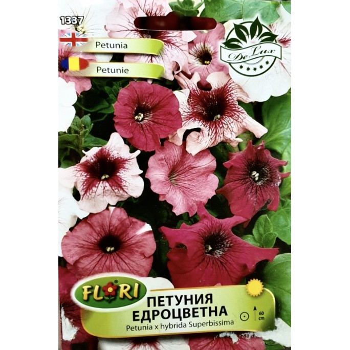 Петуния едроцветна/ Petunia x hybrida Superbissima